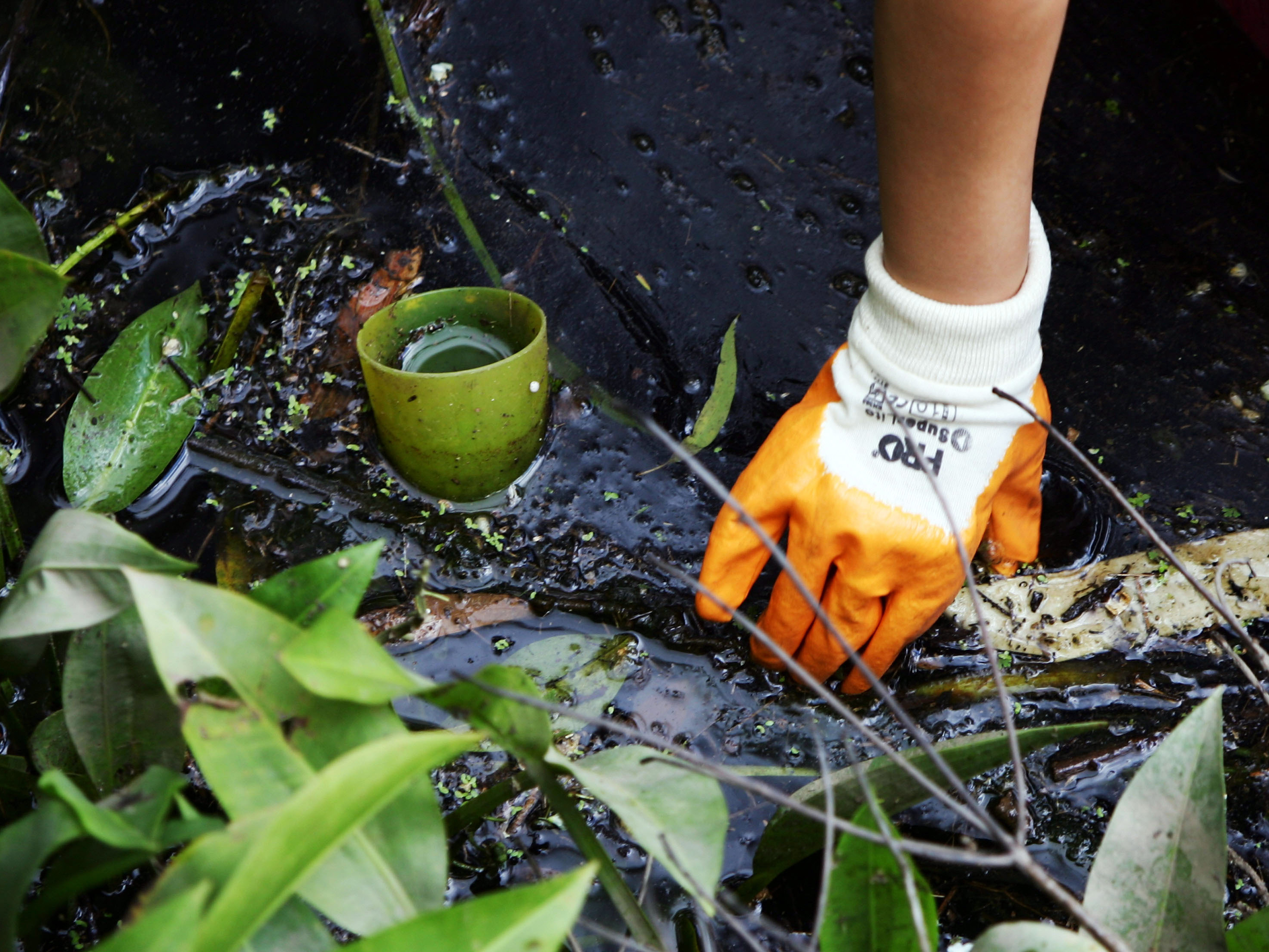 Gloved hand cleaning up river bank